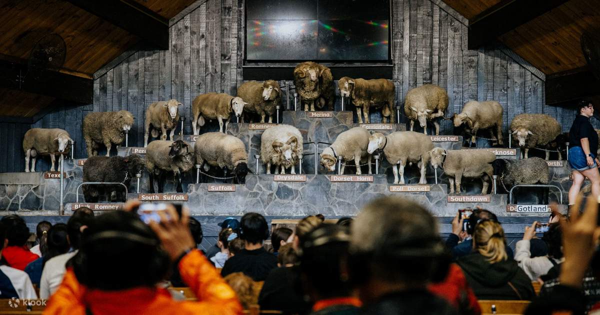 DAY 13: See the sheep shearing show at Agrodome followed by a farm tour. Enjoy guided tour of TePuia and Maori Cultural Show